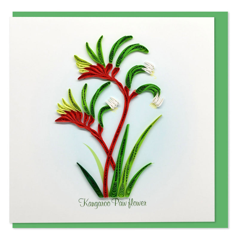 Quilled Kangaroo Paw Flower Greeting Card (15x15cm)