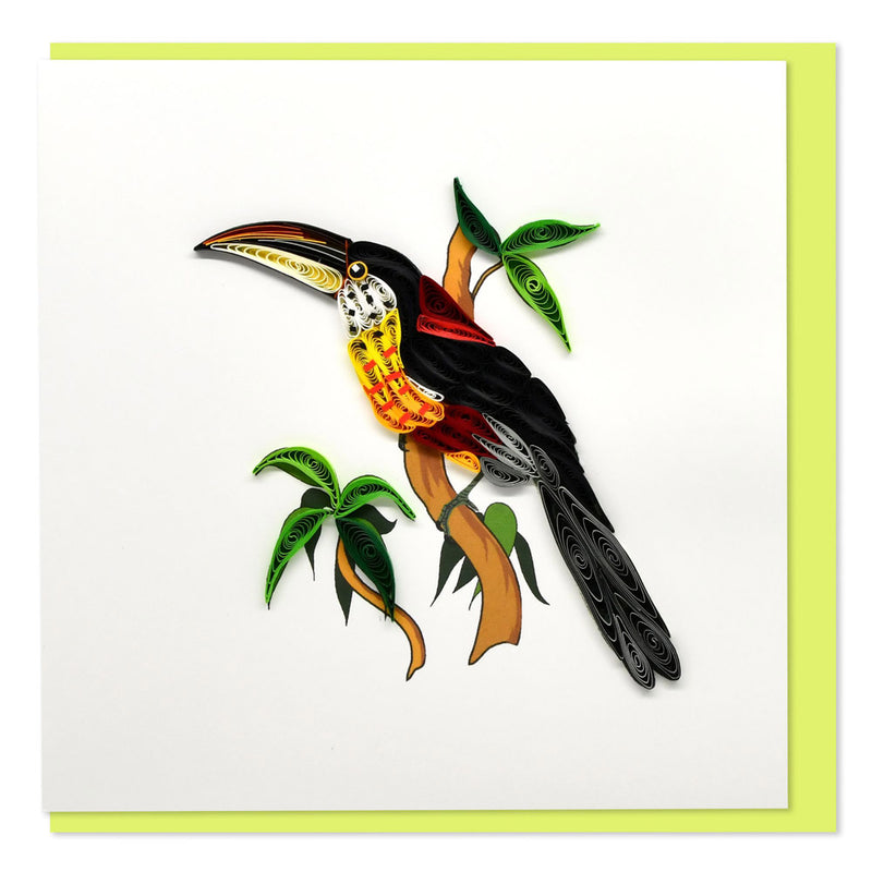 Quilled Toucan Greeting Card (15x15cm)