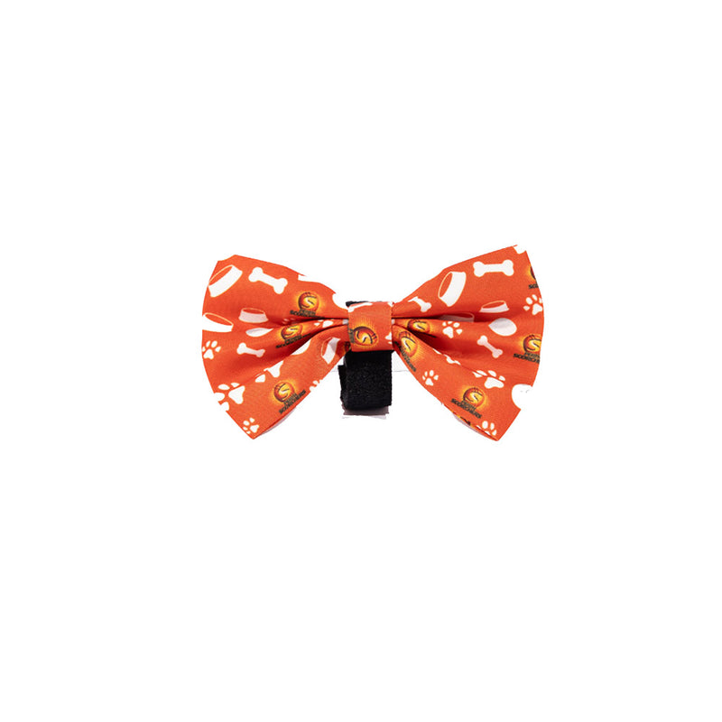 BBL Dog Bowtie