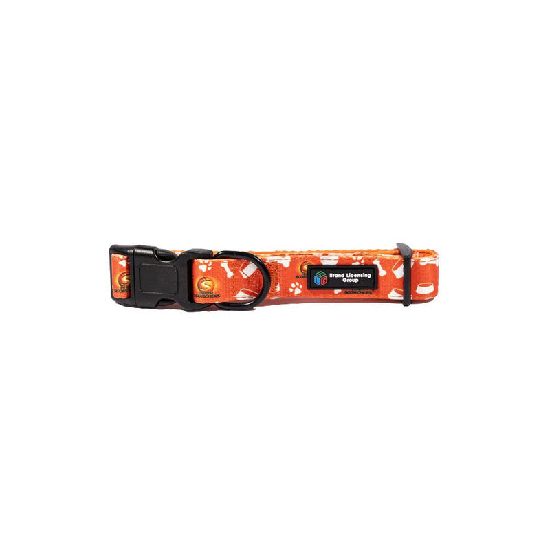 BBL Perth Scorchers Dog Collar