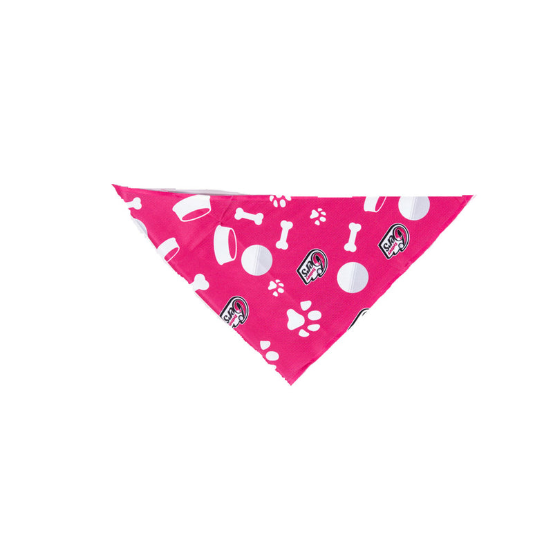 BBL Sydney Sixers Dog Bandana