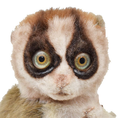 Realistic Slow Loris Plush Toy 17cm