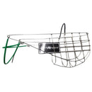 グレイハウンド犬の銃口