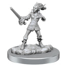 D＆D nolzurs素晴らしいミニチュア