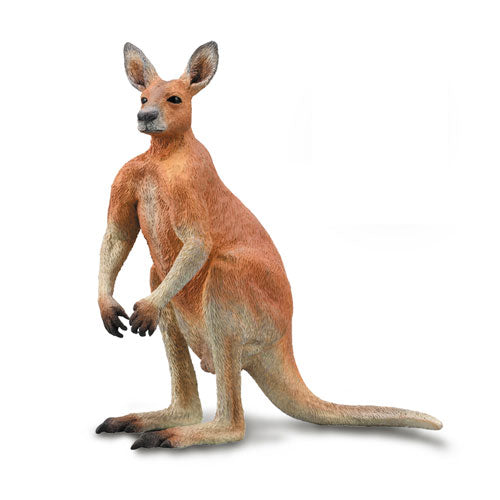 CollectA Red Kangaroo (Large)