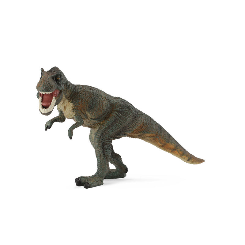 CollectA Tyrannosaurus Rex Dinosaur Figure (Large)