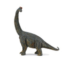 Collecta Brachiosaurus恐竜の姿