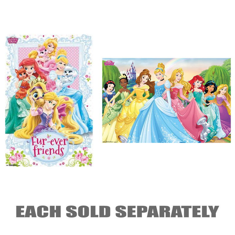 Disney Princess Poster