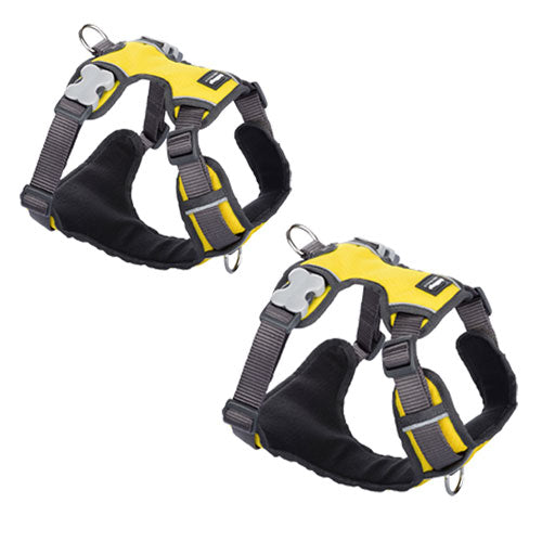 Padded Harness (Yellow)