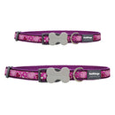 Breezy Love Dog Collar (Purple)
