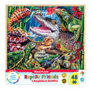 MP Wood Fun Facts Puzzle（48 PCS）