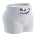 いくつかの植物を置いてください！植木鉢